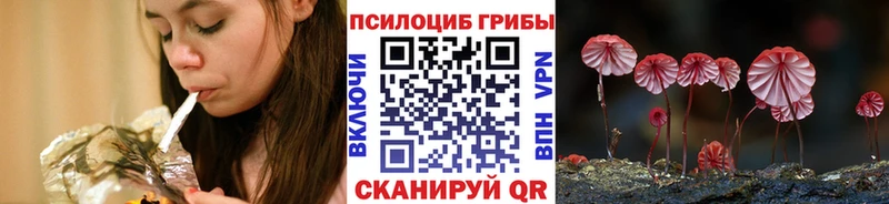 Галлюциногенные грибы Psilocybine cubensis  Гремячинск 